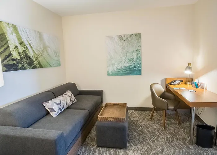 Hotel Springhill By Marriott Hanes Mall Winston-Salem
