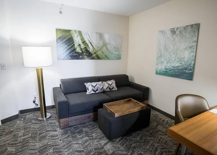 Springhill By Marriott Hanes Mall 3*