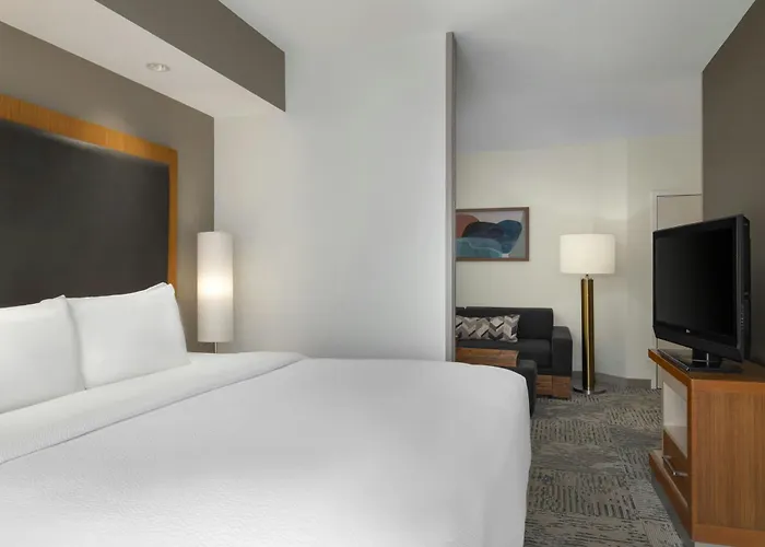 Springhill By Marriott Hanes Mall Hotel