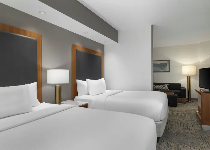 Hotel Springhill By Marriott Hanes Mall 3*